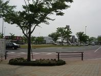 203.jpg