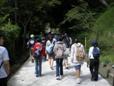 IMGP0782-s.jpg