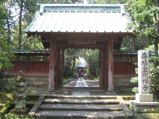 敟