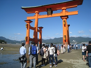 研修の様子