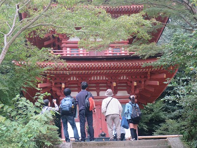 浄瑠璃寺にて