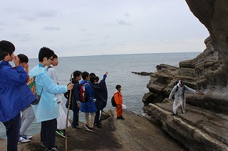 海辺の自然観察と海洋生物