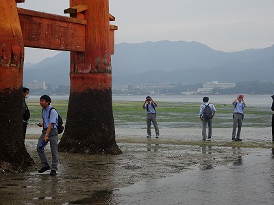 宮島