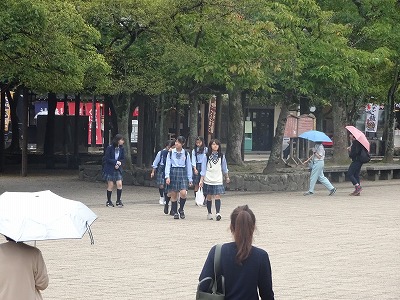 宮島