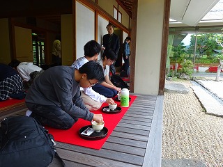 抹茶体験
