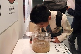 野田研修 中1野田研修の現地での取り組み