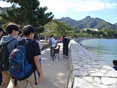 宮島