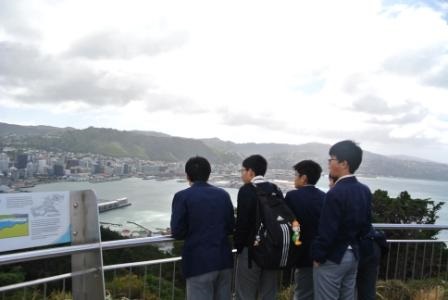 MtVictoria展望台より