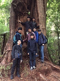 KaitokeでBush Walk