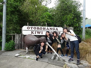 Kiwi House