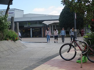 ハミルトン市内散策