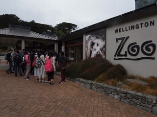 TAWA&NEWLANDSの様子です
