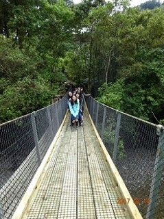 WELLINGTON EAST GIRLS'の様子です