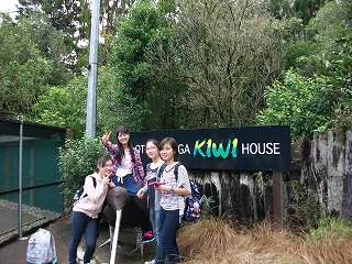 MORRINSVILLEの様子です