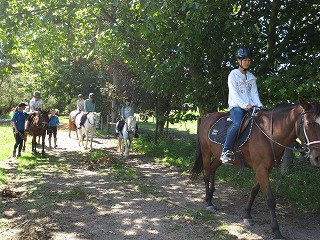 PEACHGROVE