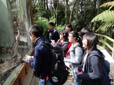 Kiwi House
