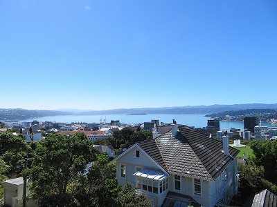 NZ