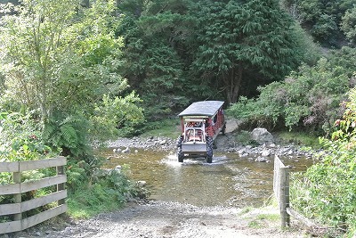 NZ