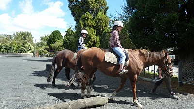 NZ