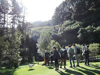 NZ