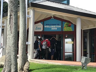 Wellington sightseeing