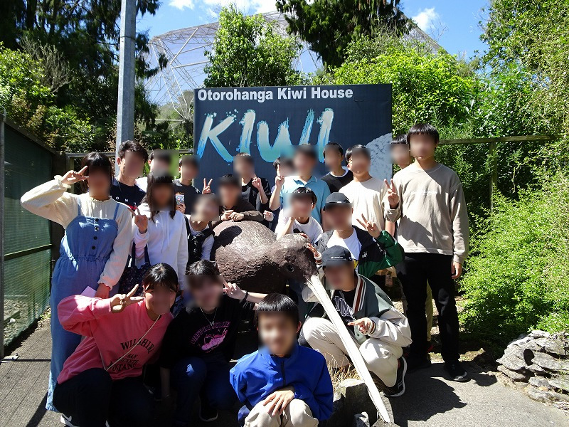 Kiwi Houseの様子