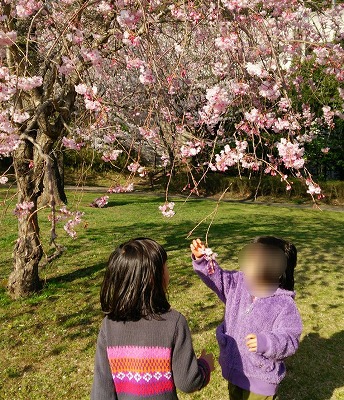 私の写真