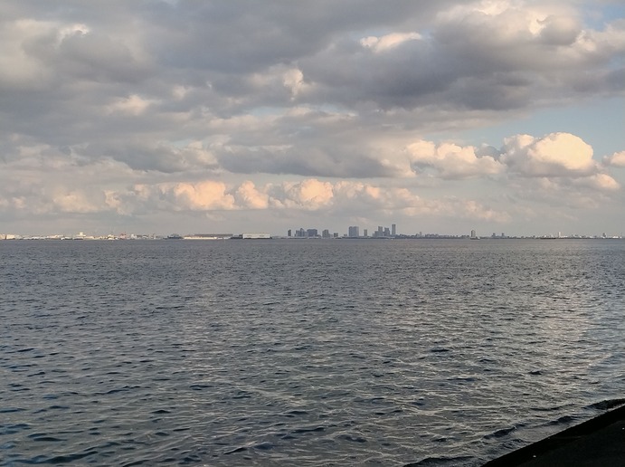 東京湾の向こうに海浜幕張のビル群が見える写真です
