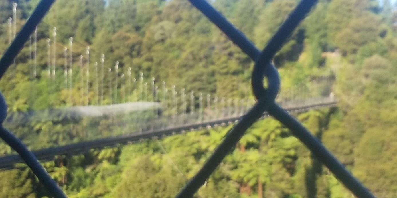 フェンス越しに見える橋の写真