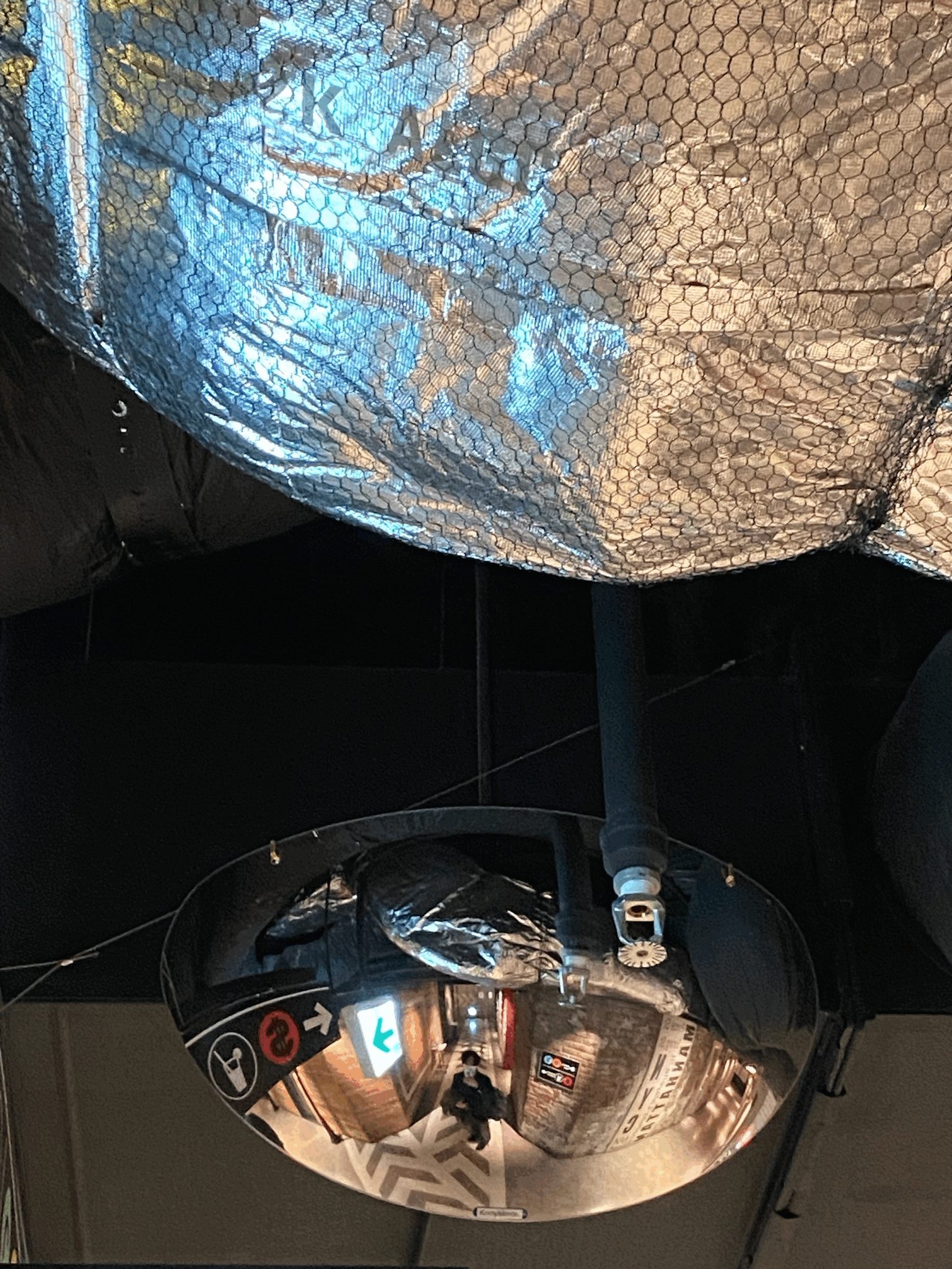 現在の自分の写真です