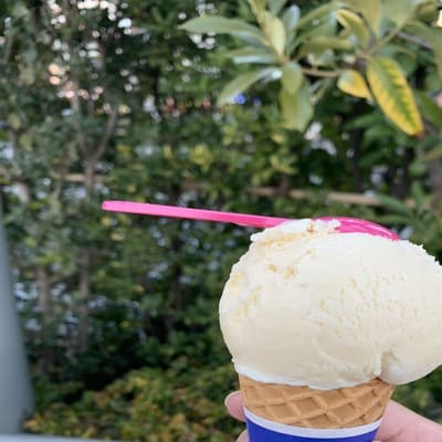 サーティーワンのバニラアイスクリームの写真です