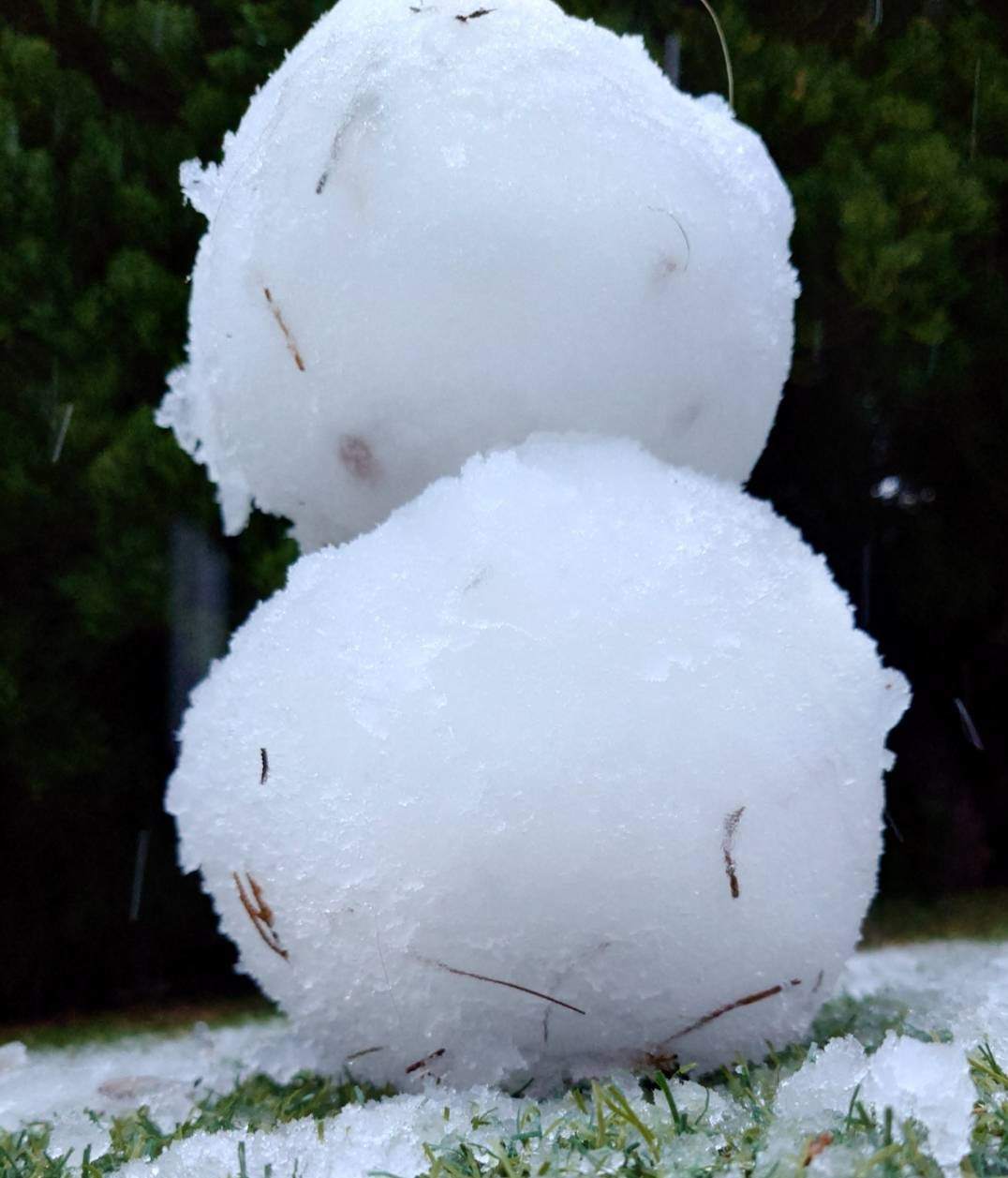 雪だるまです。かわいいですね