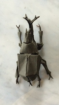 Samurai Helmet Beetle