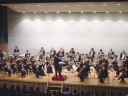 Performance by the Orchestra