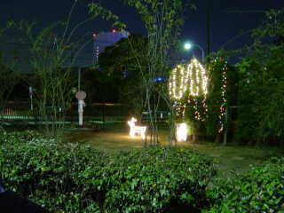夕方の講堂前