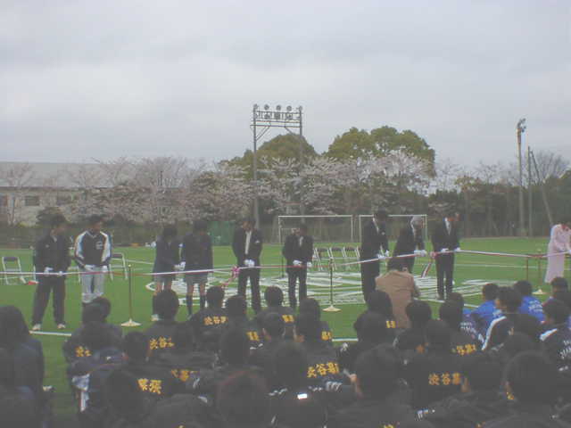 artificial turf ground