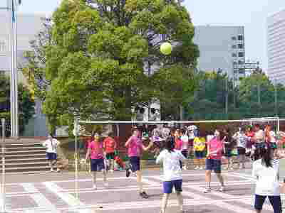 volleyball