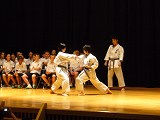karate performance