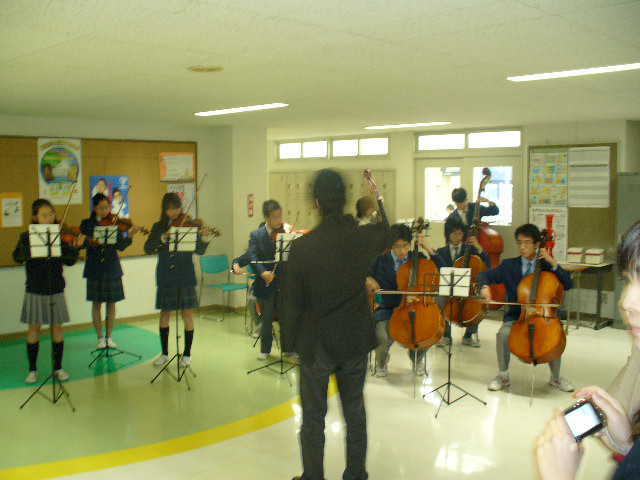 concert of string instruments