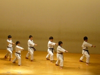 Karate Club