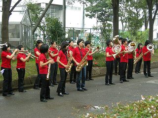 Cultural Festival