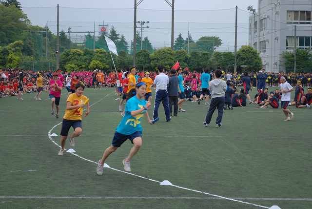 Sports Festival