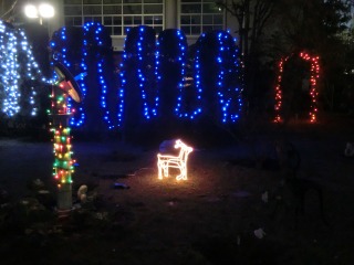 Christmas lights of the school