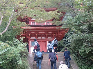 Junior 3 School Trip to Nara