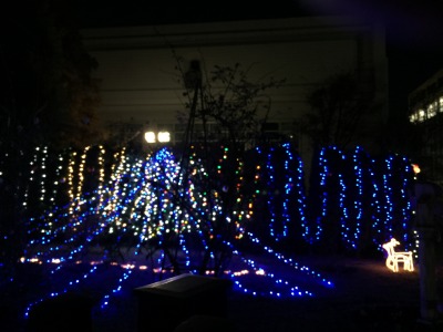 Christmas lights of the school
