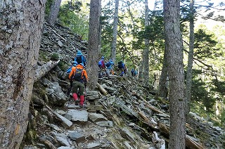 標高3400m付近の原生林の森を抜ける