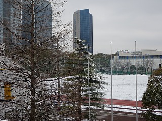 校庭の雪化粧