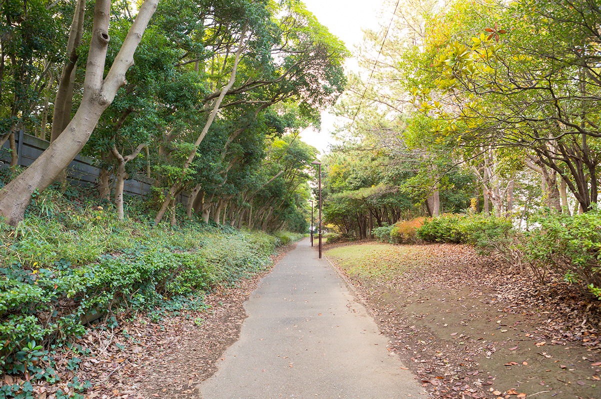 国道との間にある緑道