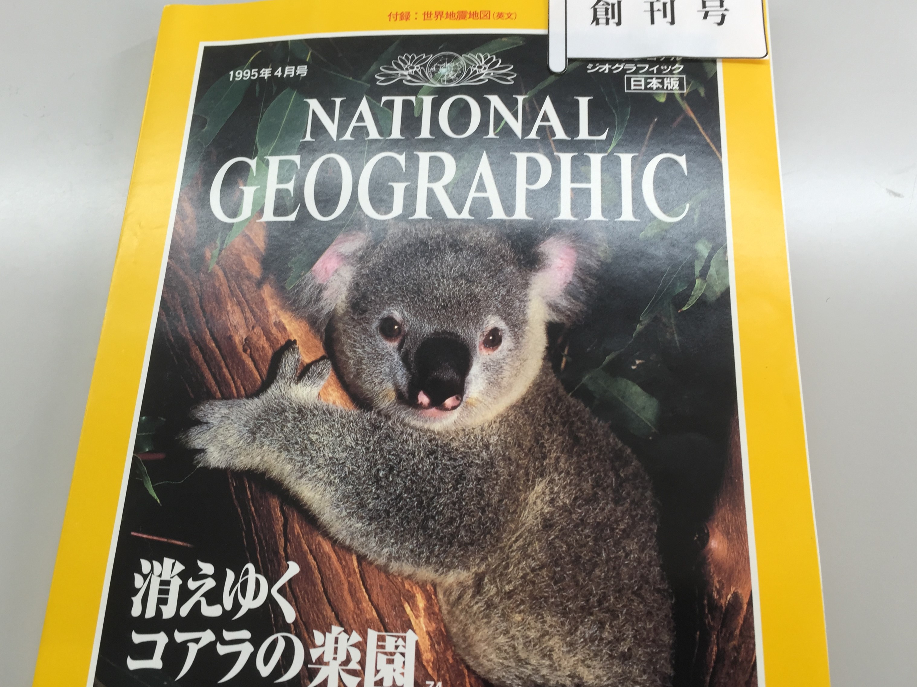 3月21日(土) NATIONAL GEOGRAPHICを寄贈いただきました – 渋谷教育学園
