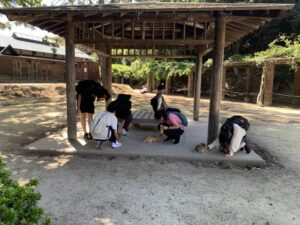 大久野島にて（うさぎと）